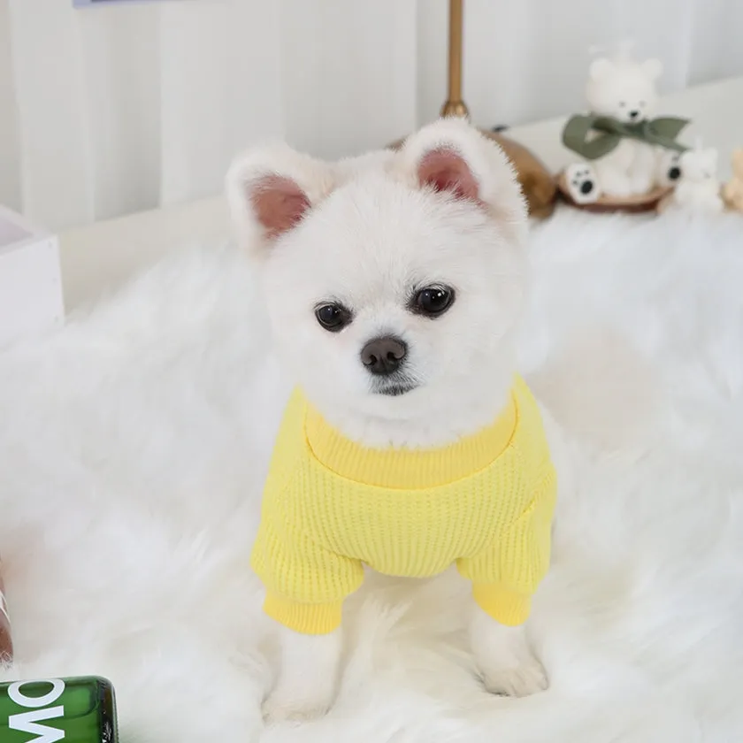 R logo Dogs Clothes Waffle patterned Casual Cute Comfortable Clothing Korean Designers Apparel Outfits Bright Colours Pets