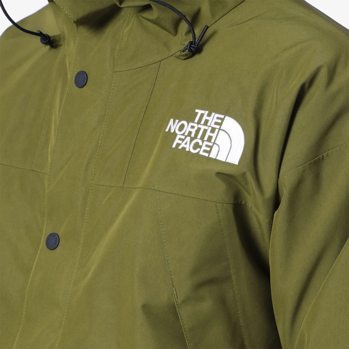 The North Face Gore-Tex Mountain Jacket