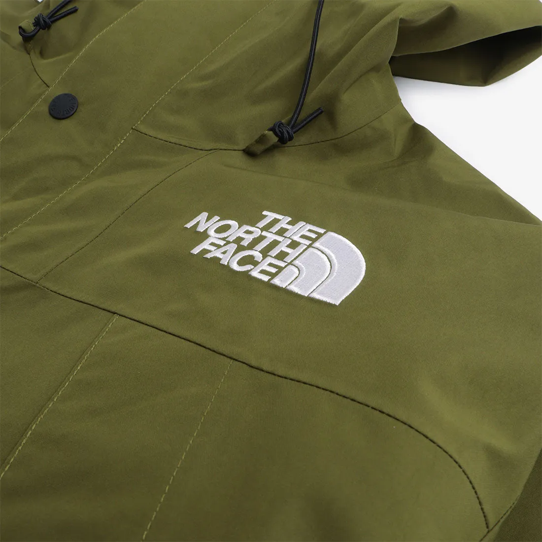 The North Face Gore-Tex Mountain Jacket